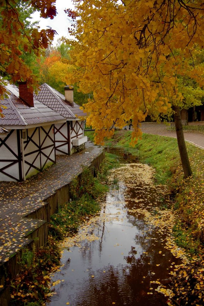 Photograph by Лариса Андреева