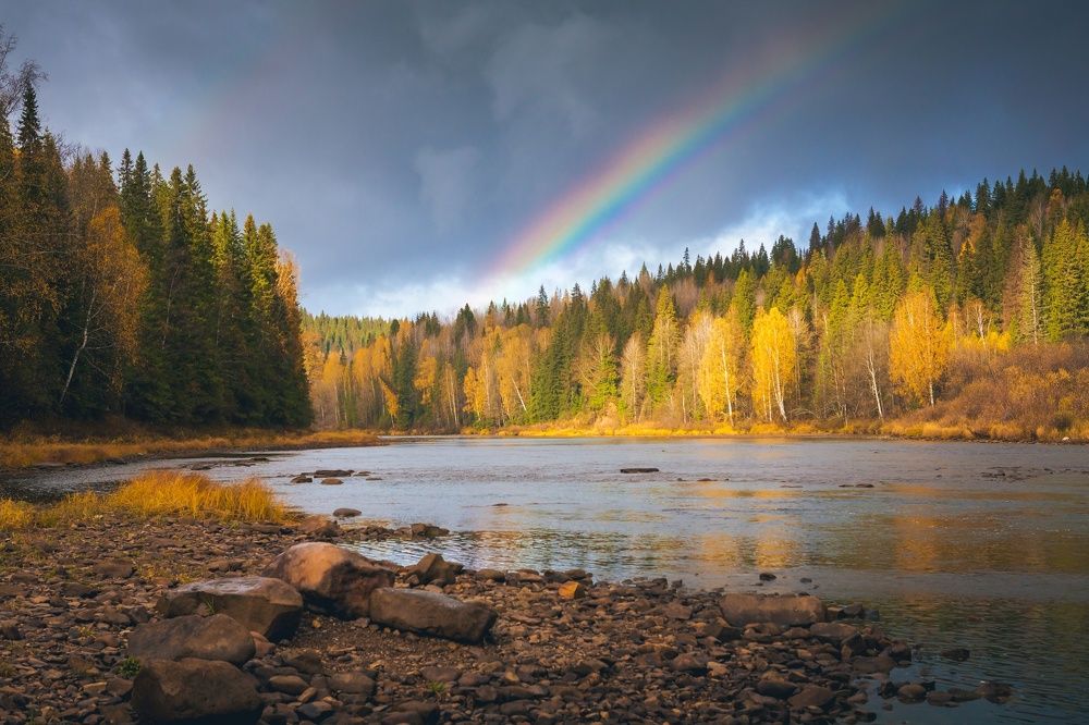 Октябрь на Усьве. После дождя.