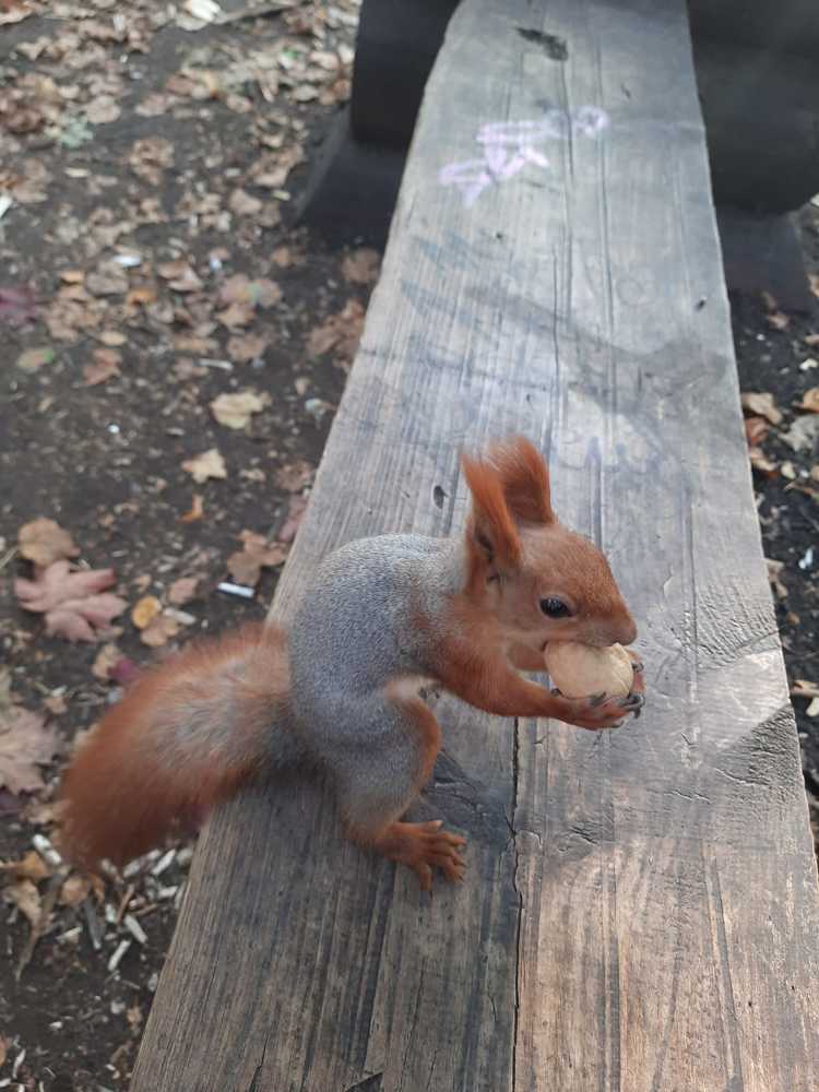 Photograph by Елена Коробченко