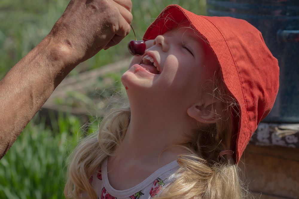 Photograph by Людмила Сливкина
