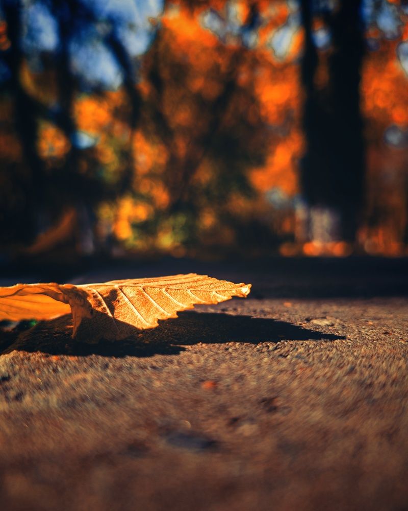 Photograph by Kanat Amre