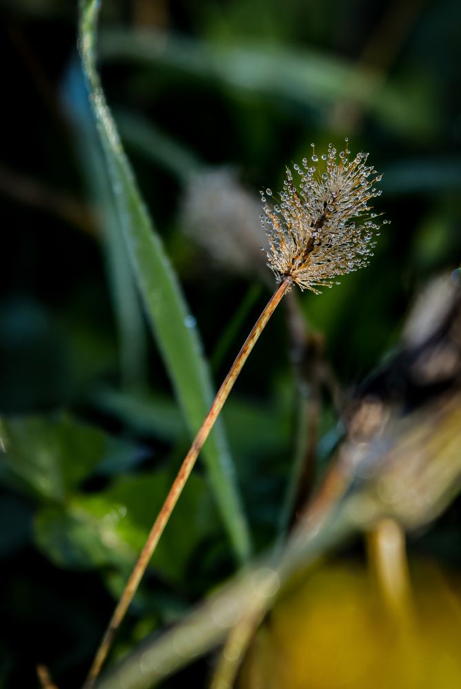 Photograph by Денчук Наталья