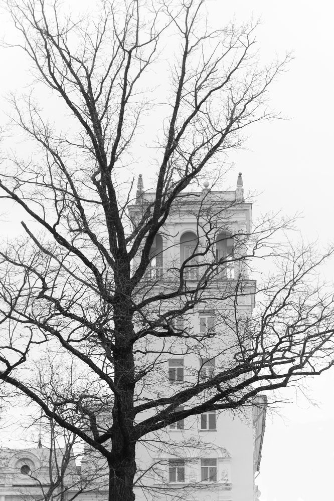 Photograph by ataris