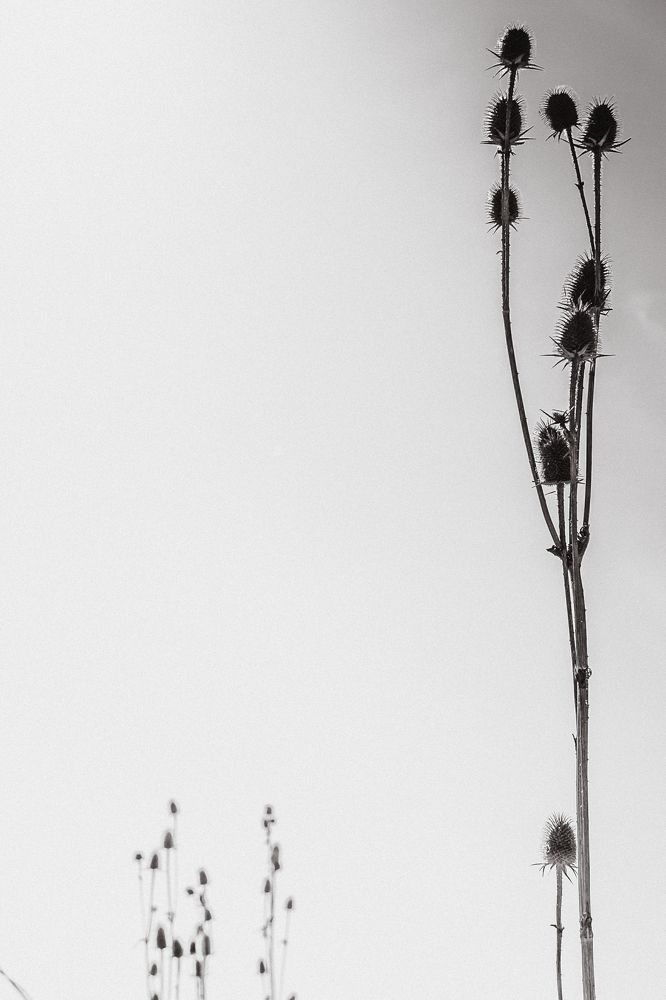 Фотография автора OXANA MARSOVA