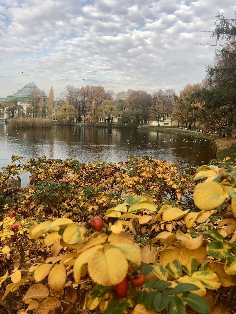 Photograph by Евгения Казакова