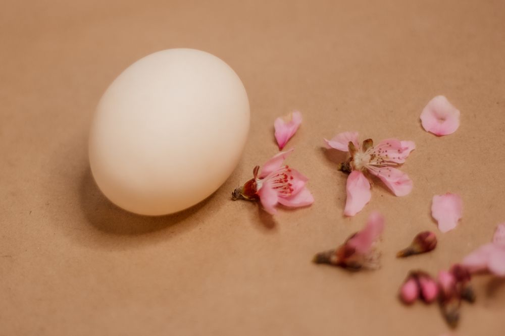 Фотография автора OXANA MARSOVA