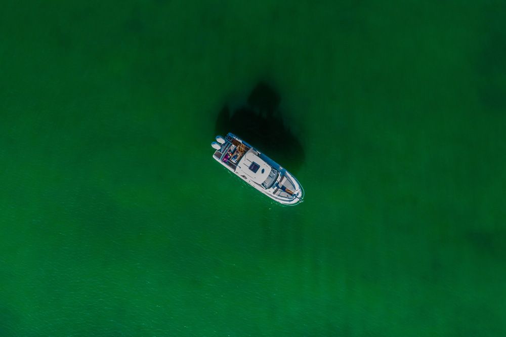 Фотография автора Viktoria Farkas