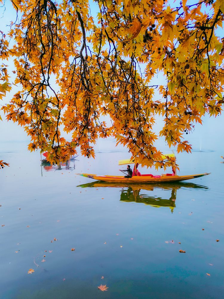 Photograph by Suhail Sidiq