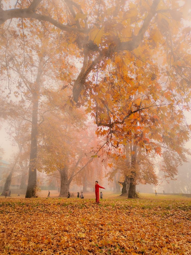 Photograph by Suhail Sidiq