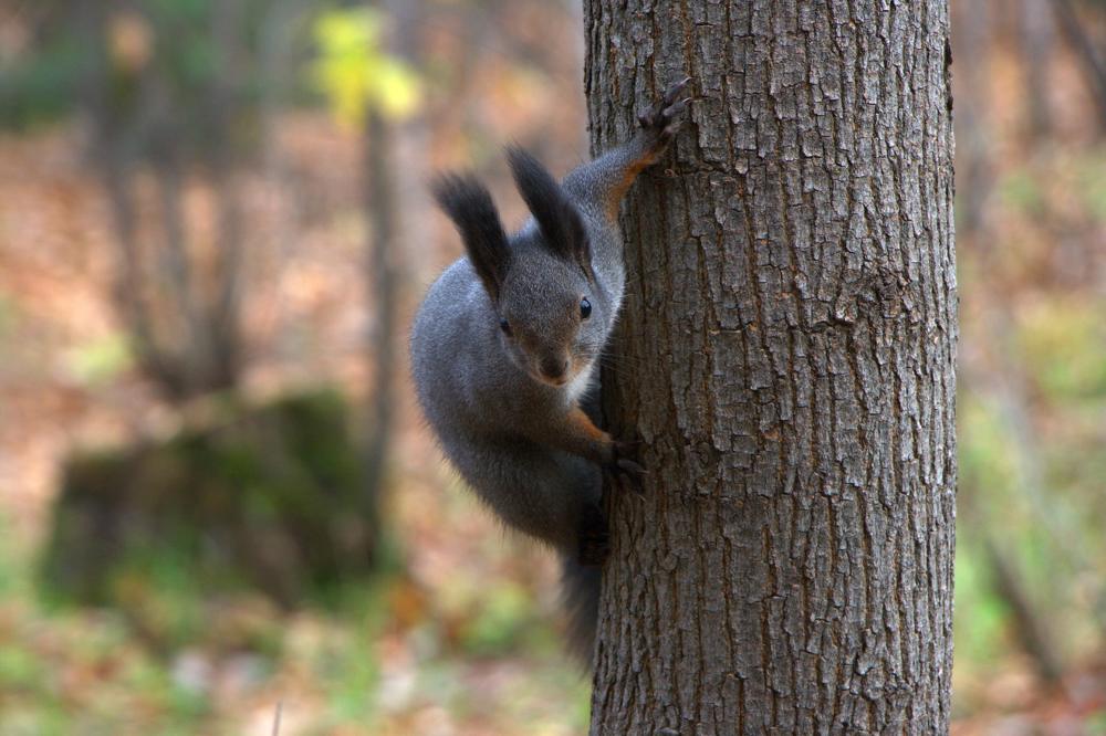 Photograph by Ирина Вассерлауф