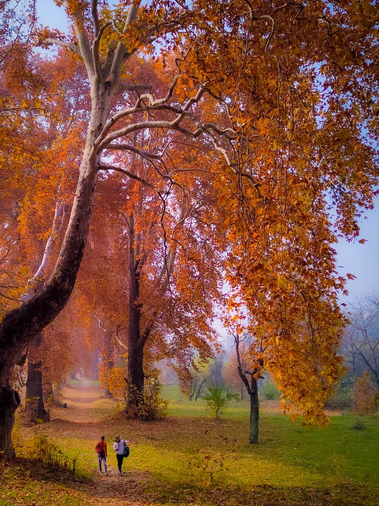 Photograph by Suhail Sidiq