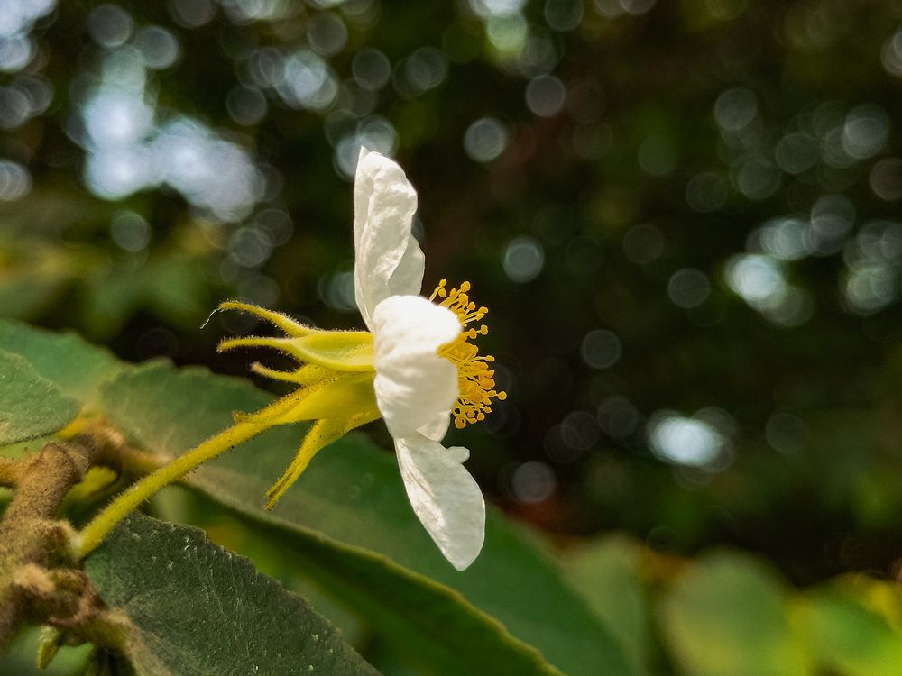 Photograph by Praveen