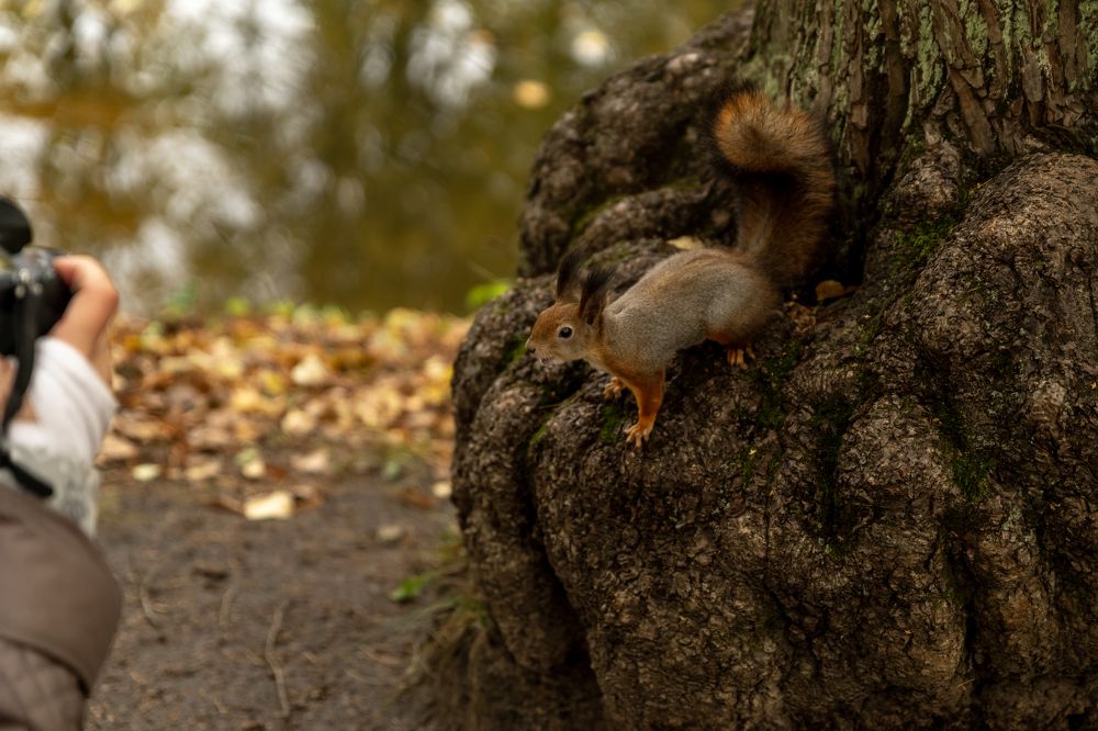Photograph by Ольга Михайлова