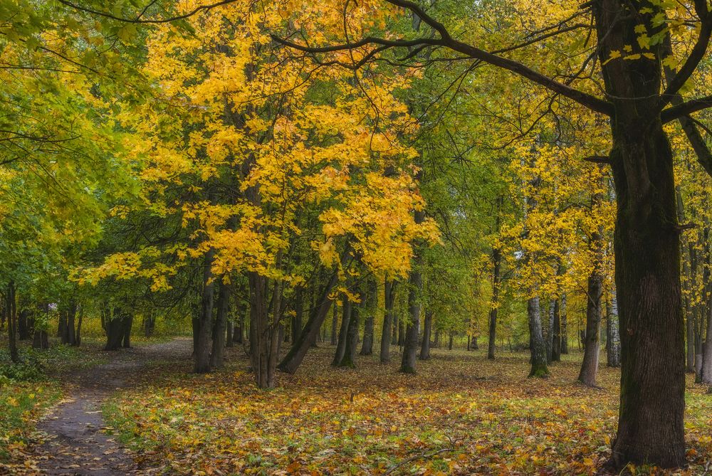 Photograph by Cергей Черныш
