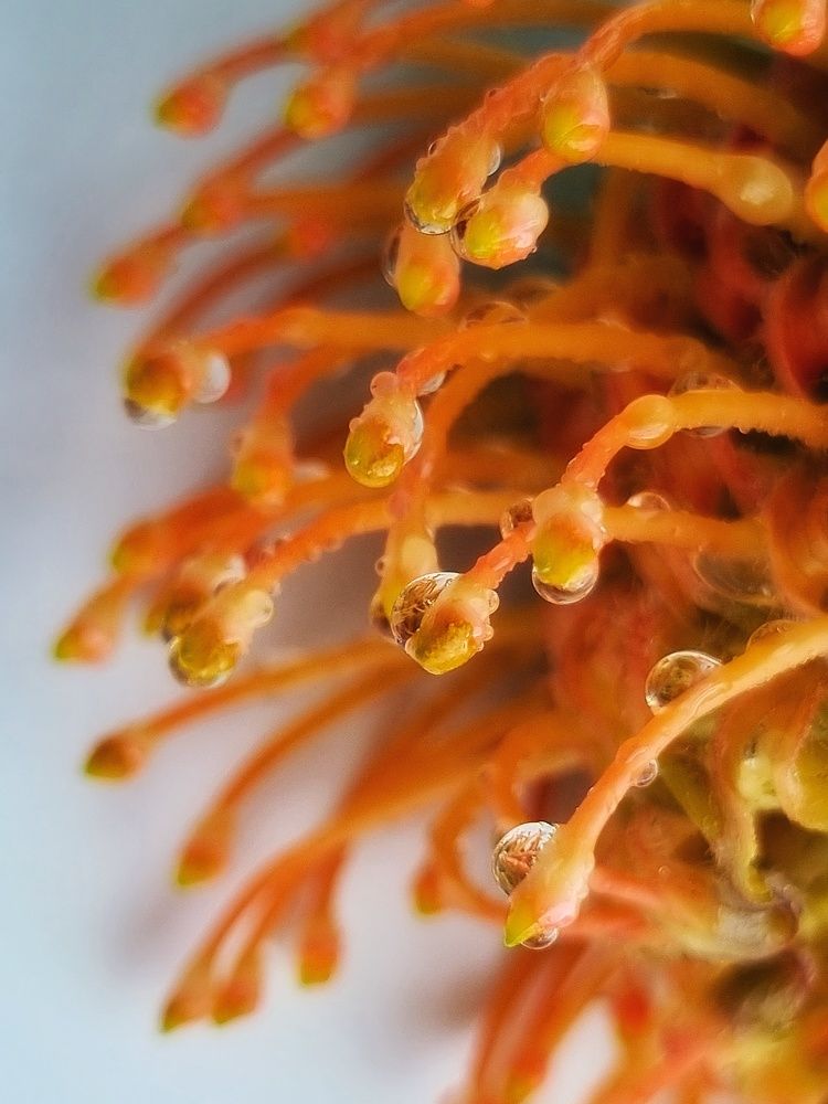 Photograph by Ольга