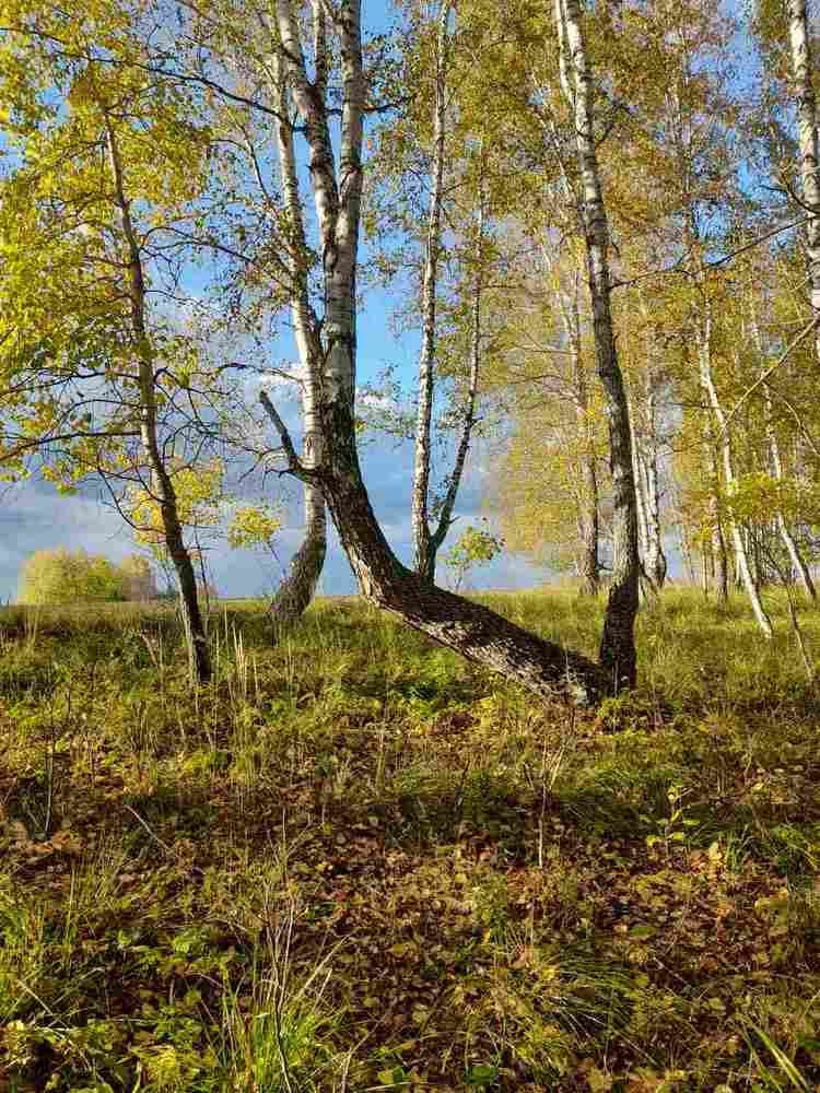 Photograph by Валентина Нохрина