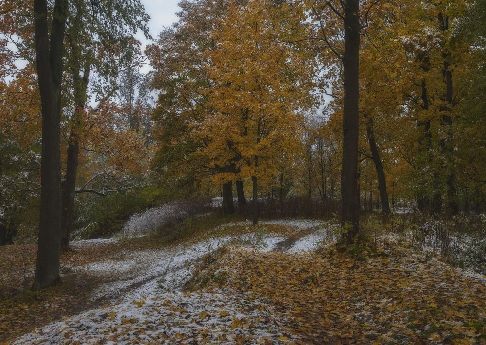 Photograph by Cергей Черныш