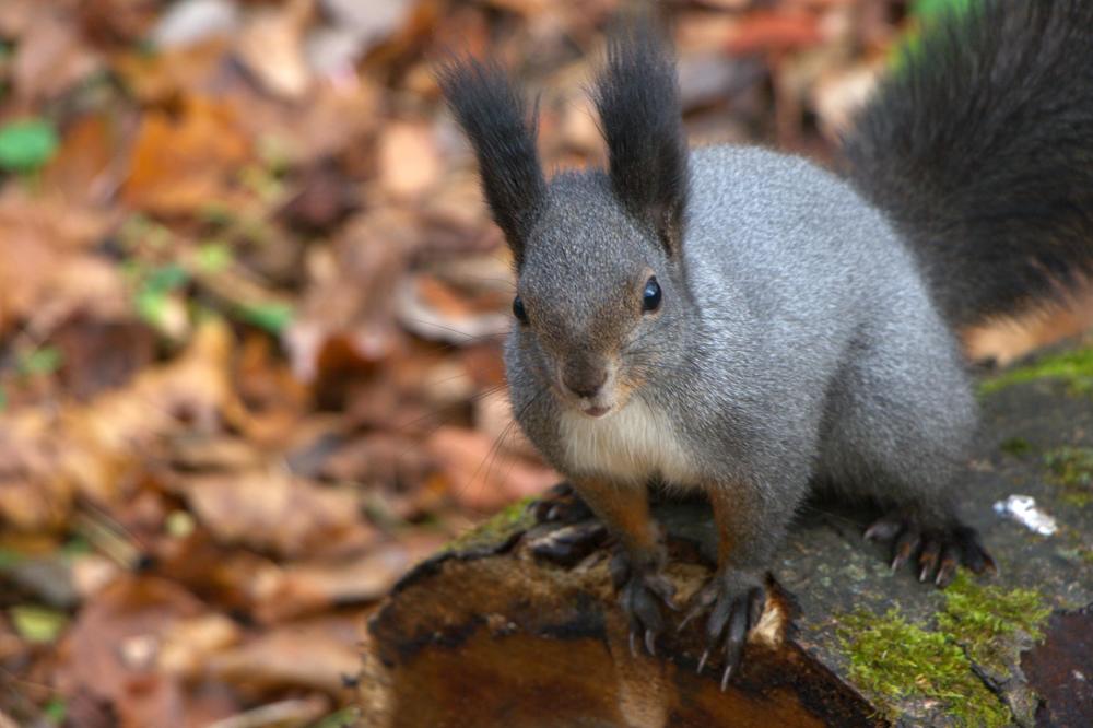 Photograph by Ирина Вассерлауф