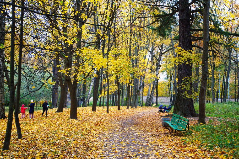 Photograph by Анатолий Протасов