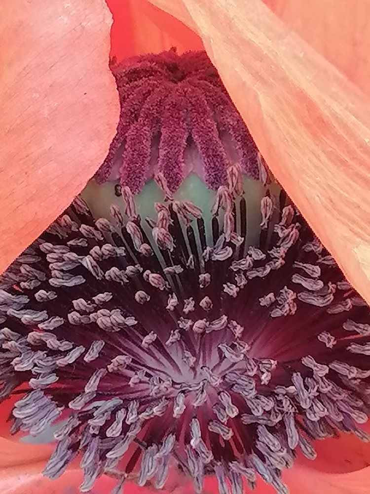 Photograph by Татьяна