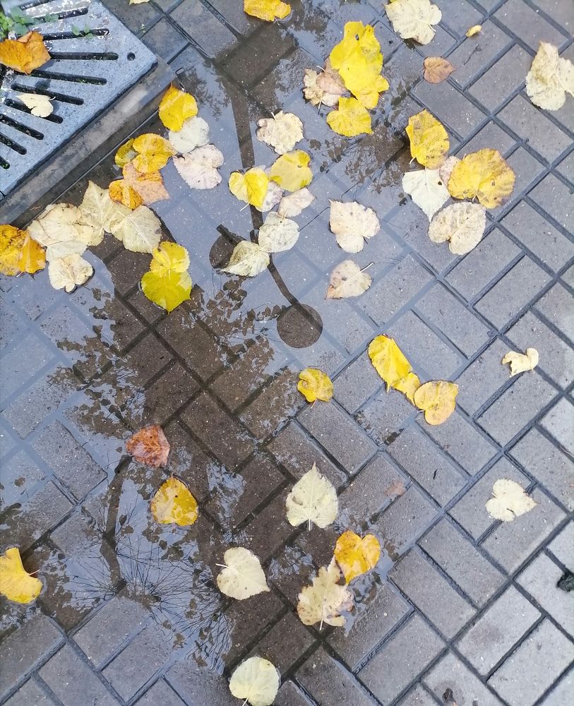 Photograph by Татьяна