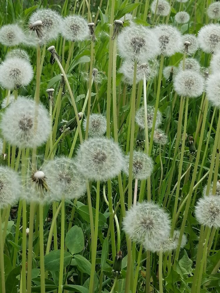 Photograph by Татьяна