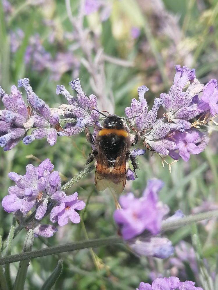 Photograph by Татьяна