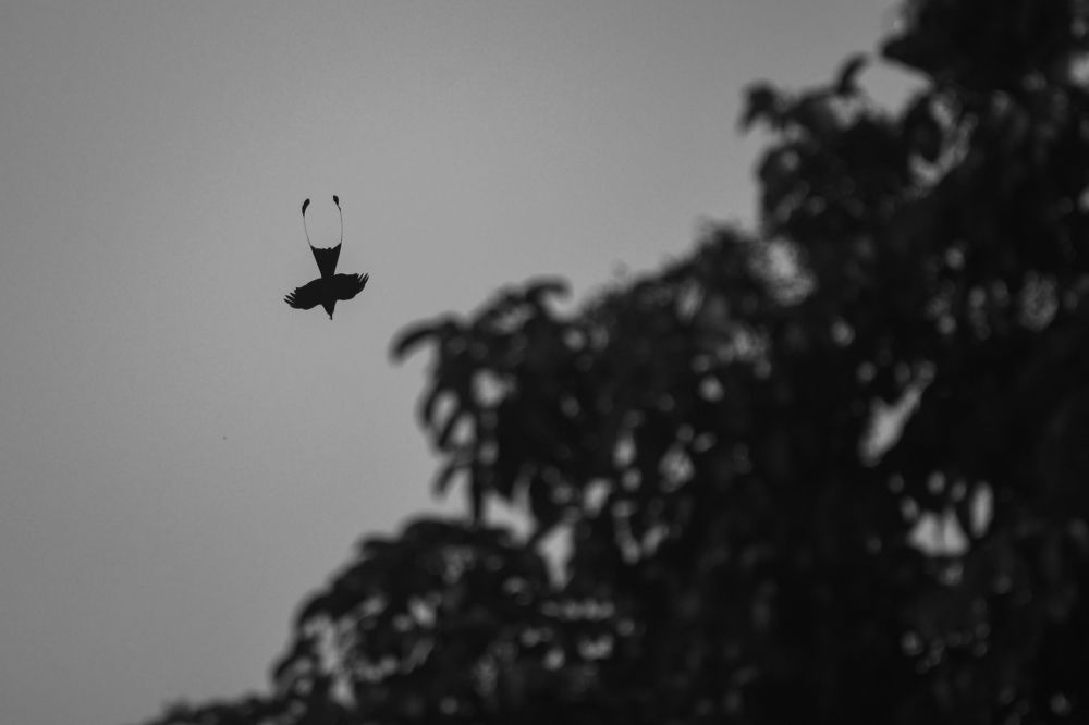 Photograph by LOREN SONOWAL