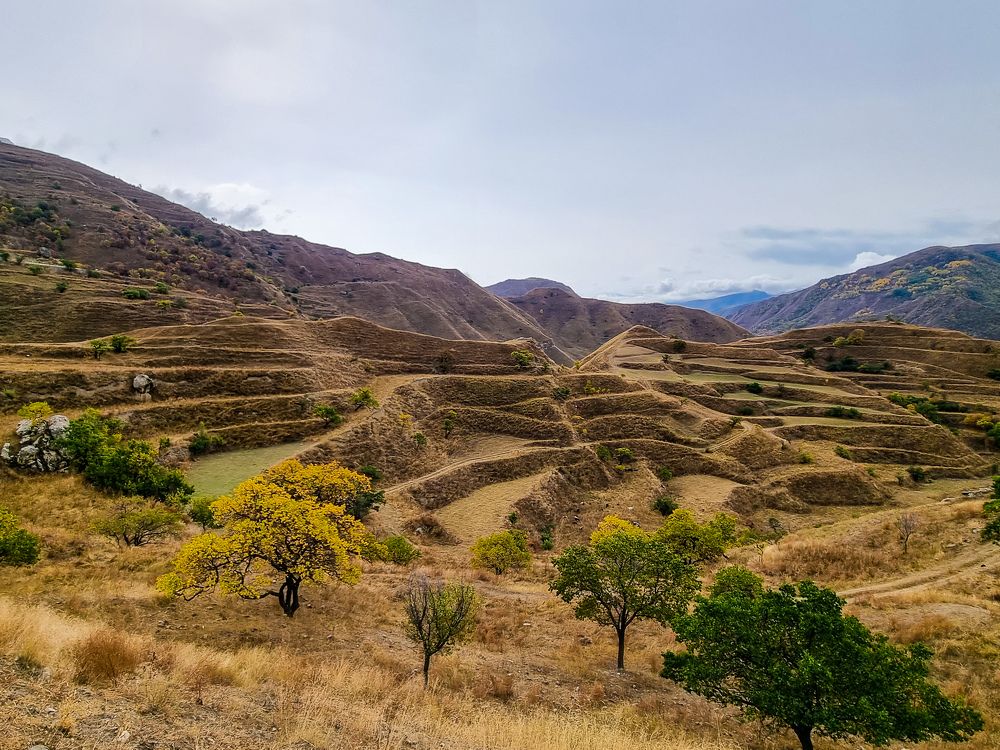 Photograph by Ольга