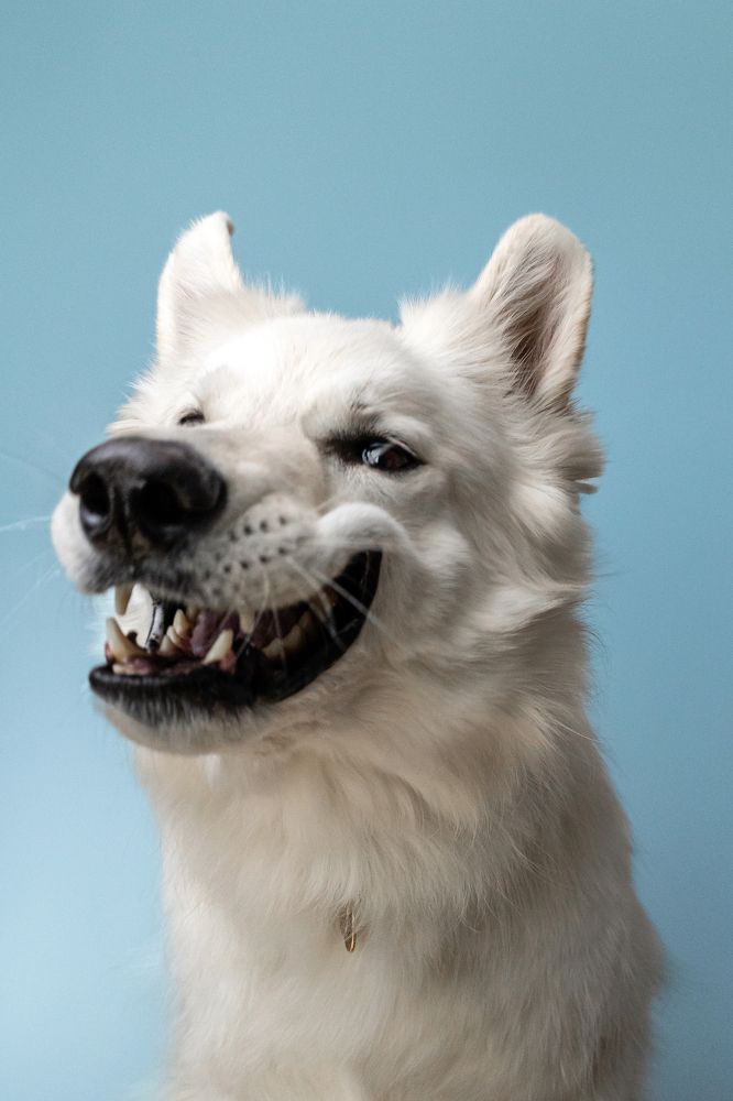 Photograph by Киреева Екатерина