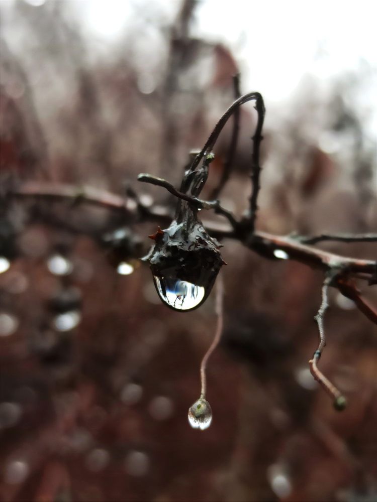 Photograph by Людмила Щуцкая