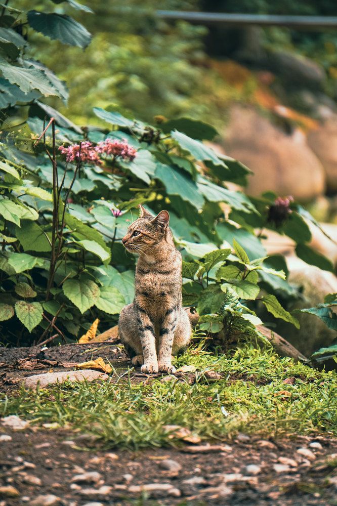 Фотография автора soroush Mohammadpour