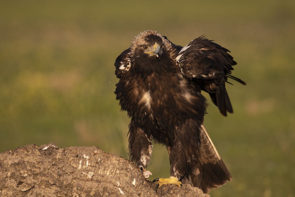 Photograph by Vasos Vasiliou