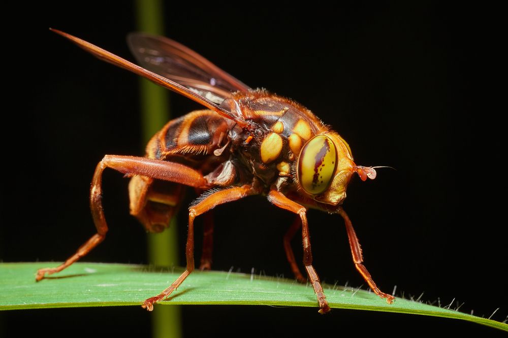 Photograph by Александр Мячин