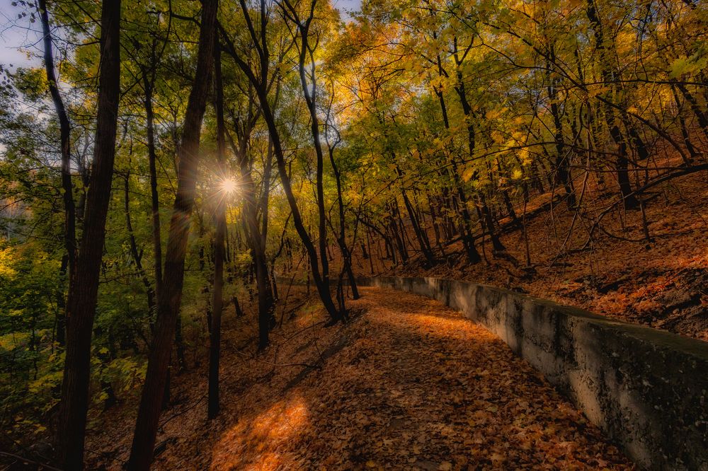 Photograph by Подосинников Максим