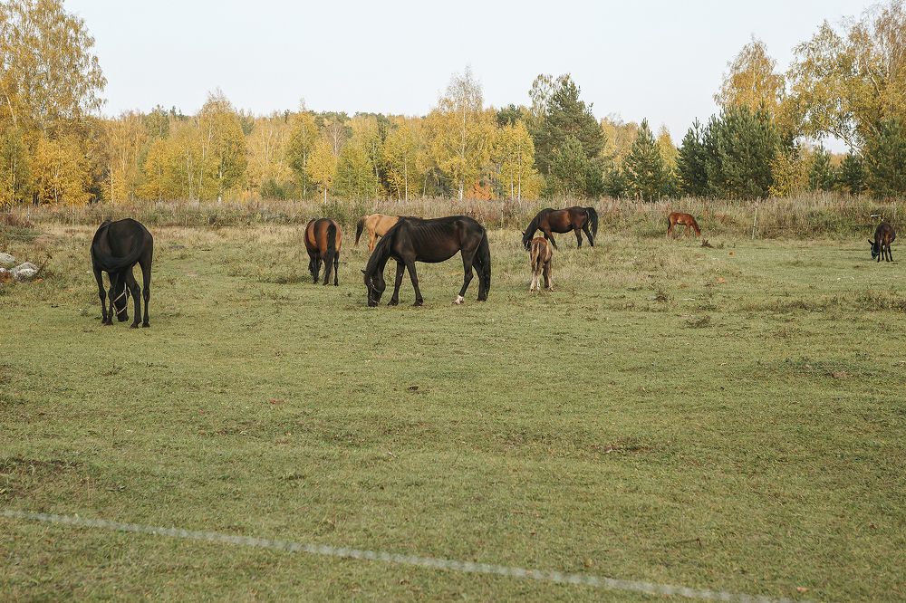 Photograph by Ivan Osipov