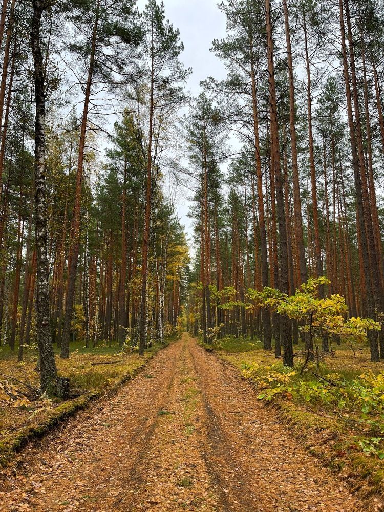 Photograph by Татьяна