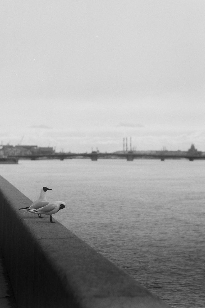 Photograph by Наталья Абрамова