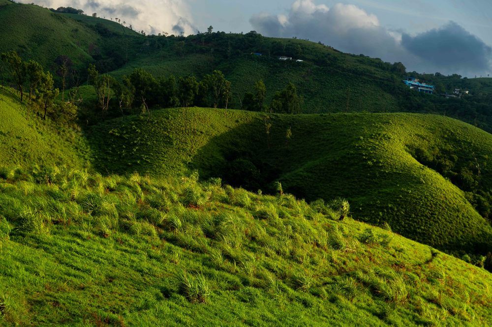 Photograph by ABDUL LATHEEF M