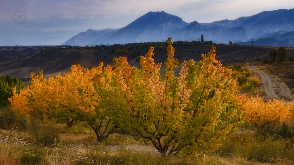 Photograph by Samvel Sargsyan