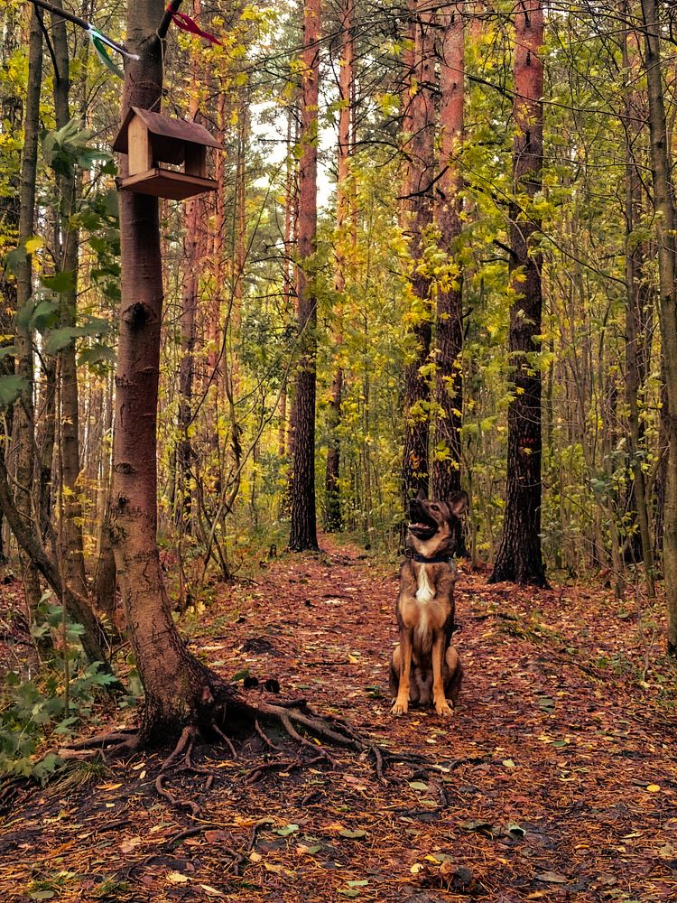 Photograph by Людмила Сарыцина