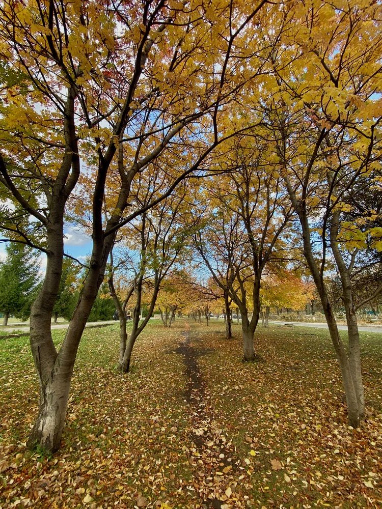 Фотография автора ГУЗАЛИЯ ГАНИЕВА