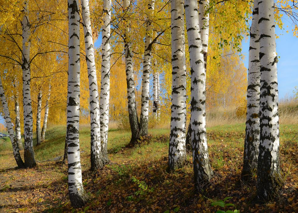 Photograph by Валерий Верещако