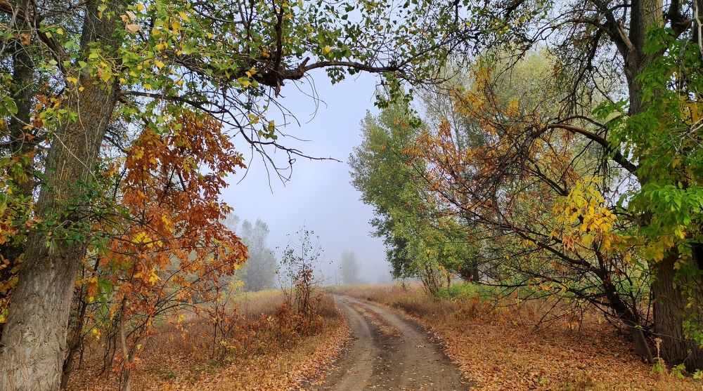 Photograph by Надежда Батракова