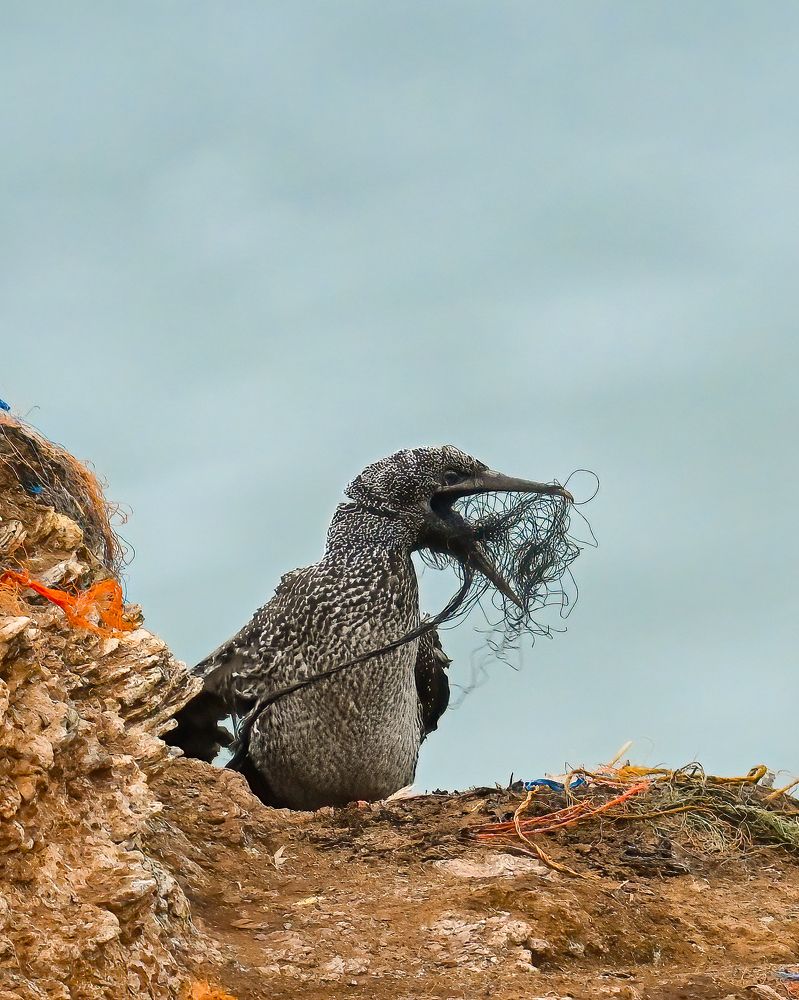 Photograph by Logeswaranathan Mohanaraj