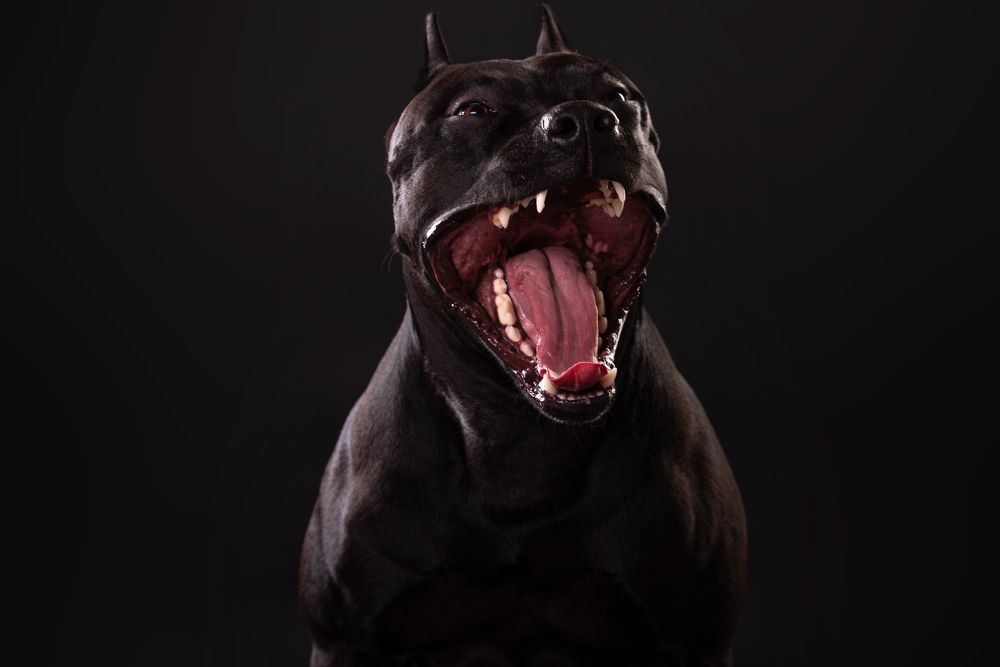 Photograph by наталья залогина