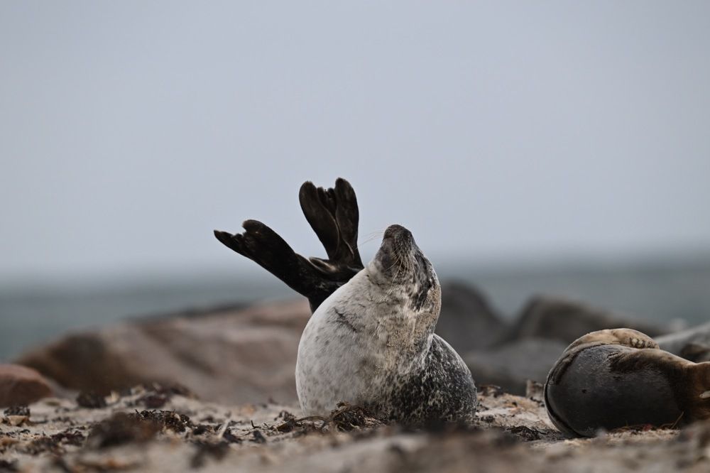 Photograph by Logeswaranathan Mohanaraj