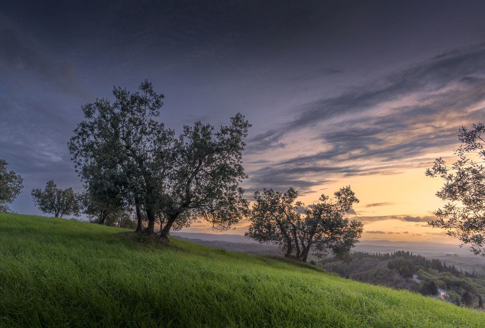 Photograph by Stefano Gelli