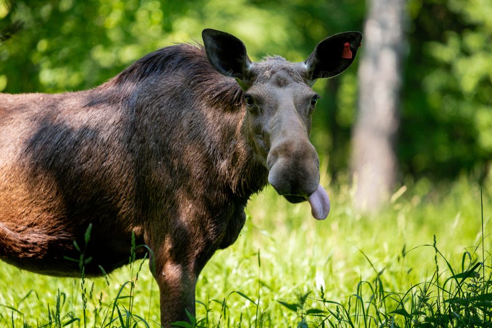 Photograph by Наталья Блохина