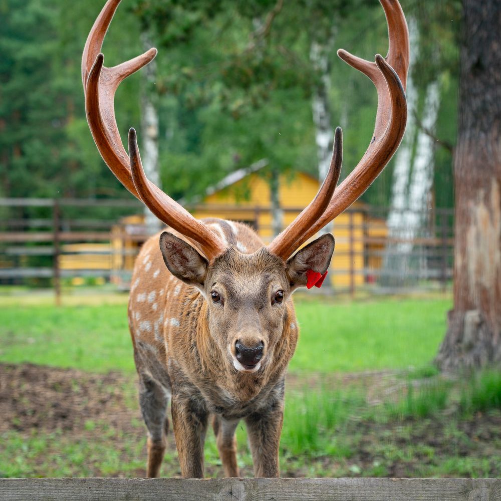 Photograph by Наталья Блохина